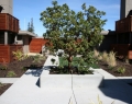Concrete and Landscape