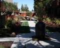 Concrete and Landscape